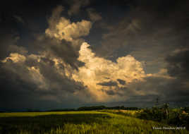 Ô rage, Ô désespoir...