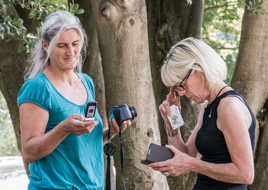 Les mains pleines .....