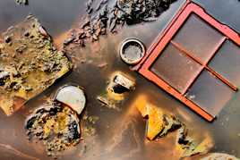 triste poubelle .......urbaine