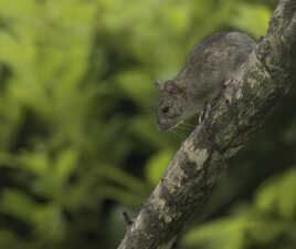 L'INSTANT SUSPENDU D'UN PETIT AVENTURIER