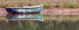 reflet de la barque