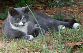 Mais qu'est ce que c'est que ce truc?