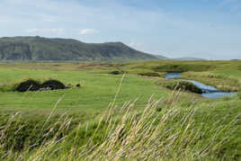 le paradis des moutons