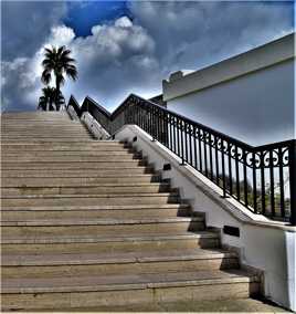 L'escalier du palmier.