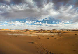 Désert du Namib