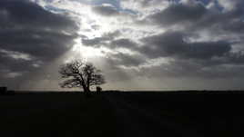 un petit rayon de soleil