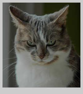 Elle donne l'impression d'être sérieuse