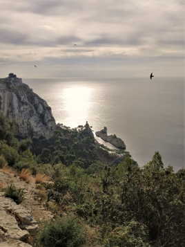 Vol au dessus du Torpilleur