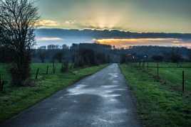 Un beau couché sous la pluie.