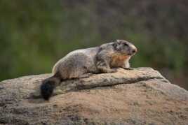 D'ici, je verrai tout.