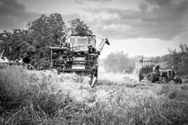 le temps des moisson 3