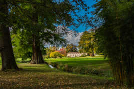 Arboretum Domaine de Segrez