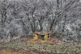 Piégé dans le givre