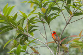 Que la nature est belle !