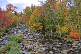 Couleurs d'automne sans maison