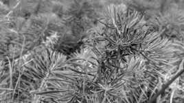 Visible et Invisible