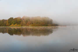 petit matin dans la brume