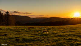 prendre un dernier rayon de soleil