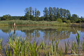 Autour de l'étang 1