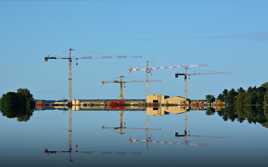 Grues et leurs reflets