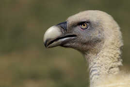 Mon plus beau profil