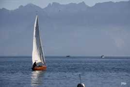 Bleu Léman