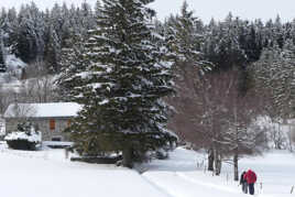 Randonnée hivernale