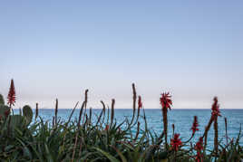 Pas un nuage à l'horizon...