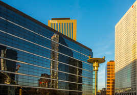 Les pigeons sont de garde...