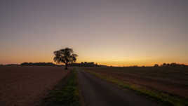 A l'ouest rien de nouveau !