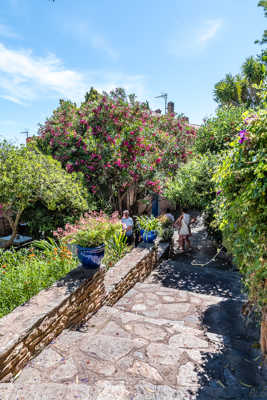 Bormes-les-Mimosas ruelle 5