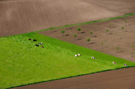 Champ du Périgord Noir