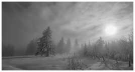 L'univers de la neige