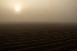 Le silence de la brume