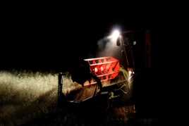 Travail agricole