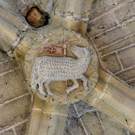 Inquietude d'un agneau