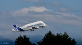 airbus Beluga 5
