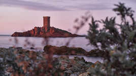 l’Île noire de Tintin