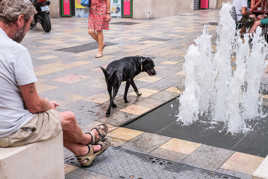 J'y vais ou j'y vais pas ...