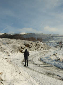 Froide promenade