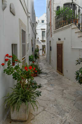 Locorotondo, ruelle 11