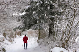 Randonnée en raquettes