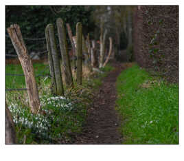Atmosphère paisible de début de printemps
