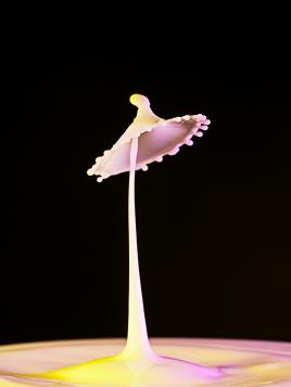 le chapeau de Gandalfe (le Seigneur des Anneaux)