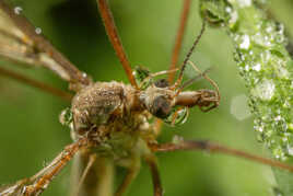 Elle va s'enrhumer!!