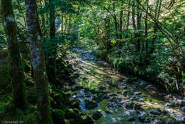 Cascade du Hérisson