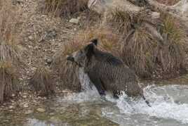 Sortie de bain