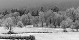 Une froide journée d'hiver