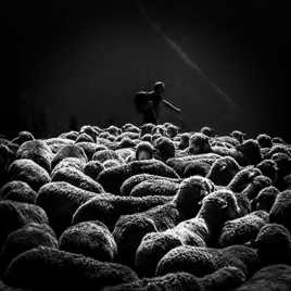 Descente de l'alpage.