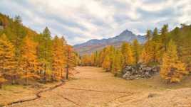 L'automne en Clarée